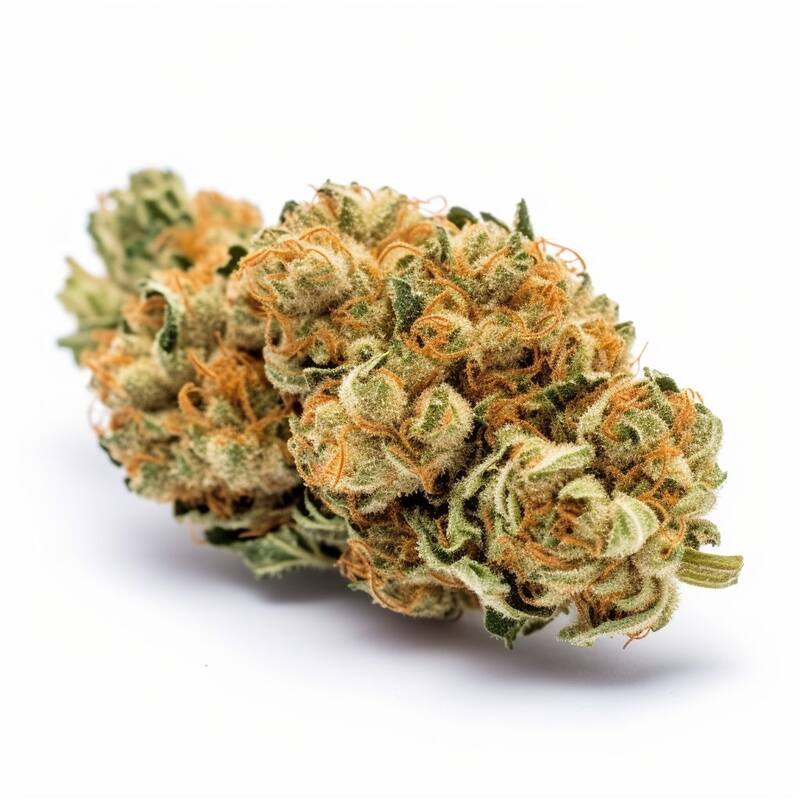 Super Lemon Haze Cannabissamen Hanfsamen Seeds kaufen